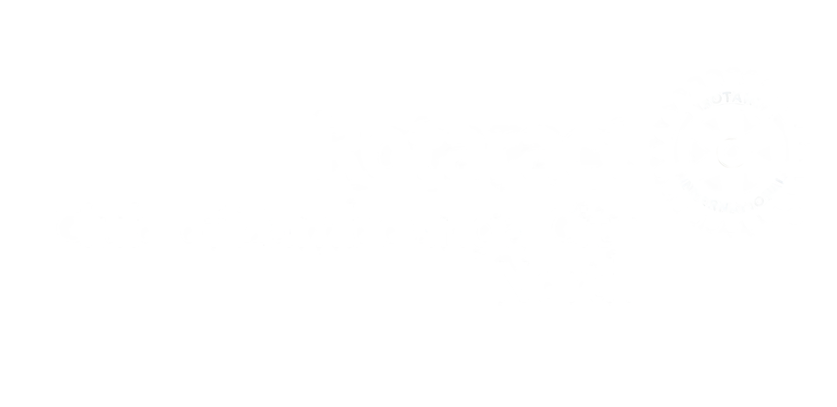 Rotaract North Logo